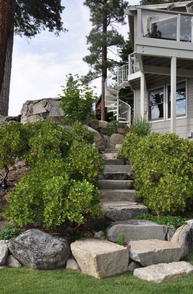 Carol Faccinetti Interior Design Interior Designers & Decorators