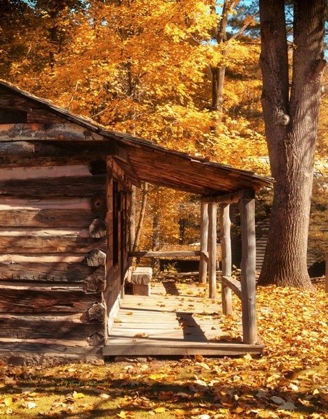 tumblr_mvah30iPlX1snqphdo1_500