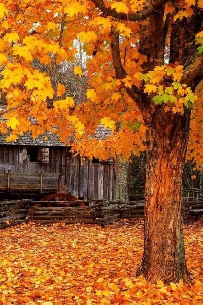 tumblr_nautozxlOh1snfibxo1_500