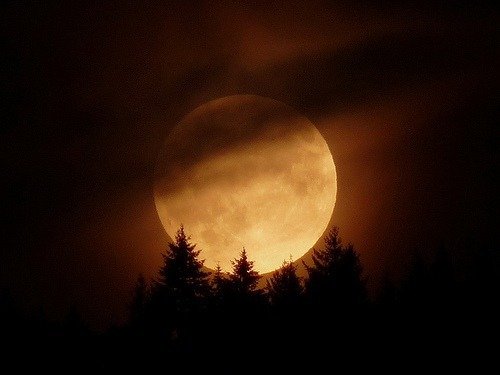 tumblr_nbfziuHJtx1rehxdyo1_500