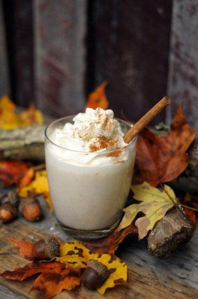 tumblr_nbfzmsnJfd1rehxdyo1_500