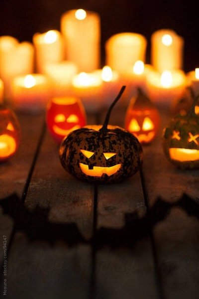 tumblr_nbfztiuaZt1rehxdyo1_500