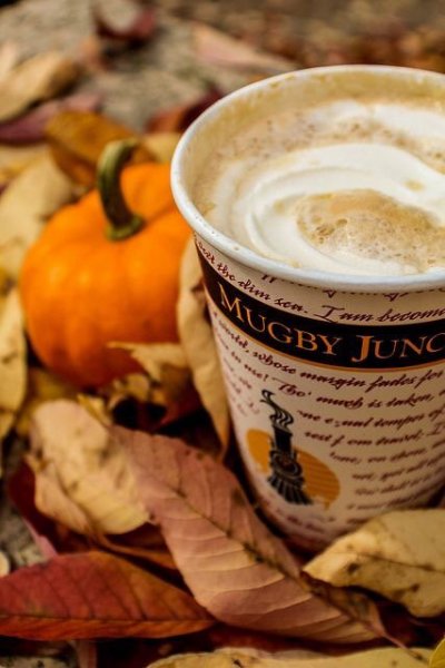 tumblr_nc61soaYys1rehxdyo1_500