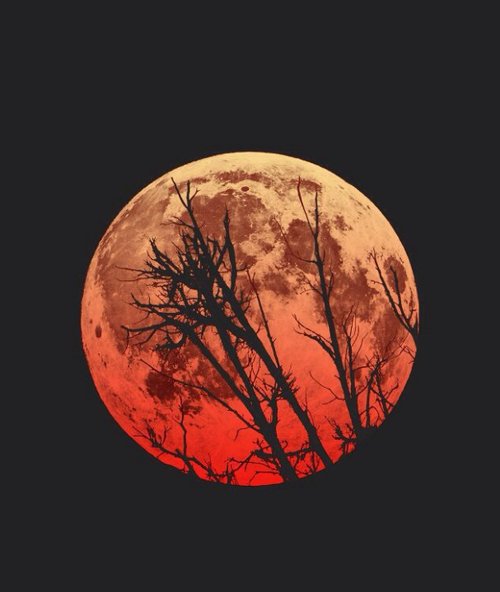 tumblr_ncitkiK5by1rehxdyo1_500