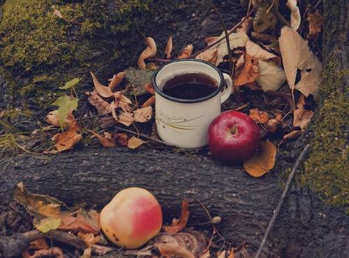 tumblr_nciuby6WNA1rehxdyo1_500