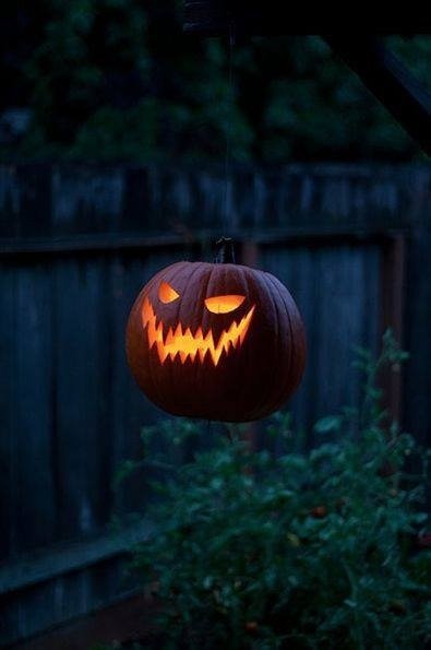 tumblr_ncomubtnMW1rehxdyo1_400