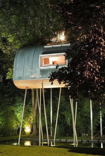 King-of-the-Frogs-01-2