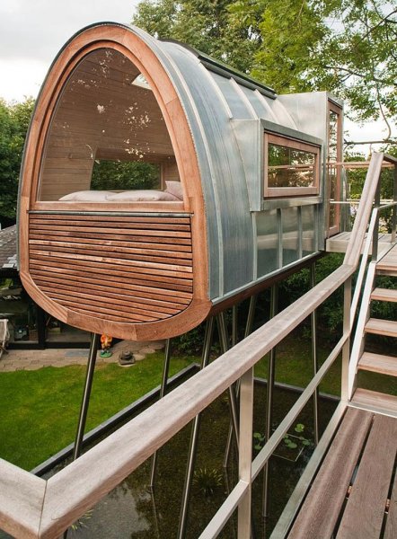 King-of-the-Frogs-05-1