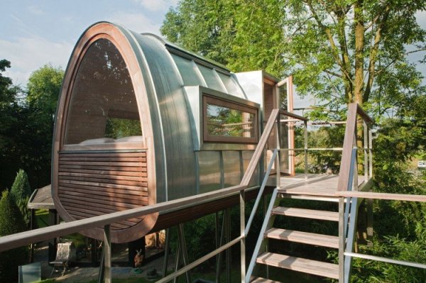 King-of-the-Frogs-05-750x499