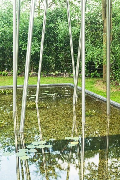 King-of-the-Frogs-08