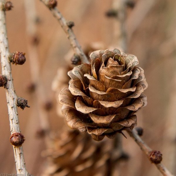 tumblr_mhcnq7OzX11rdism7o1_1280 (1)