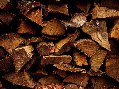 tumblr_mr2jqpy5aH1re3kvuo1_500