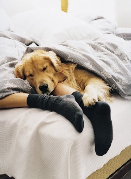 tumblr_mvi709rk261ra6he8o1_500