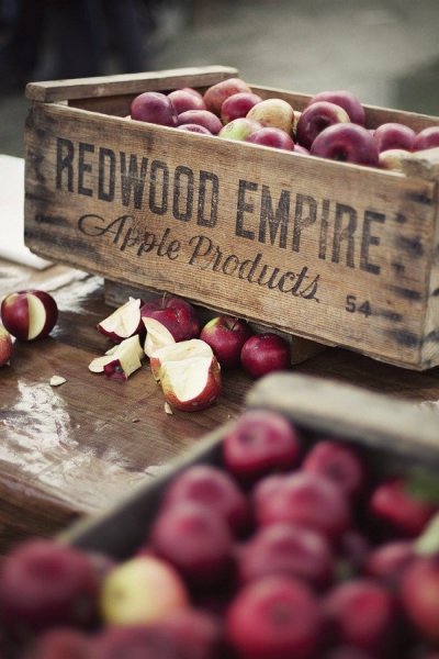 tumblr_mwvnj6oKlh1rumwgdo1_1280