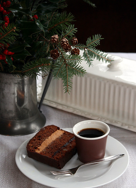 tumblr_n6xlhcbPV61rf7thqo1_500