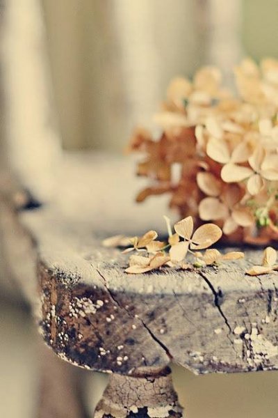 tumblr_nbzwla3Rr01rk7j5qo1_500