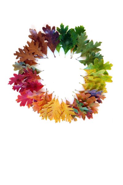 tumblr_ncf4c2UZJZ1qbycdbo1_1280