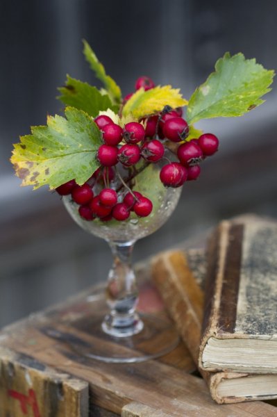 tumblr_ne8hkvhEtV1sqn2abo1_1280