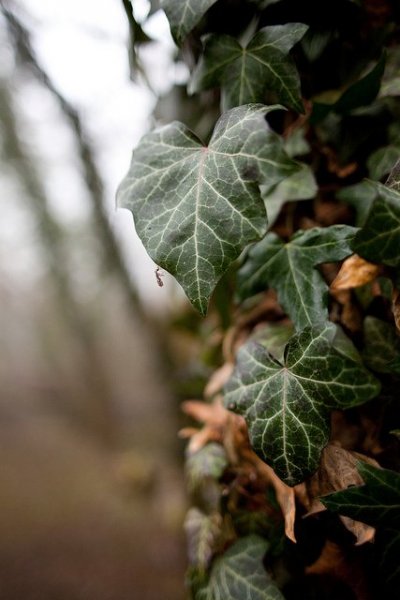 tumblr_ne8kn3LNWL1t0ge0qo1_500