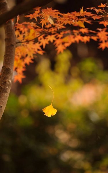 tumblr_ne9chqxtsr1r3uzmno1_1280