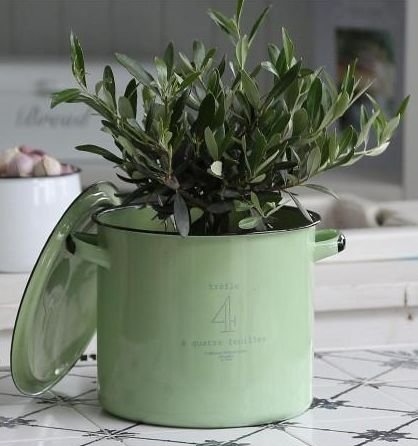 tumblr_negyzi8qhc1sg22dvo1_500