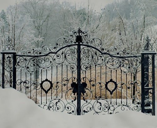 tumblr_mwt3hg5VIG1rcy6lio1_500