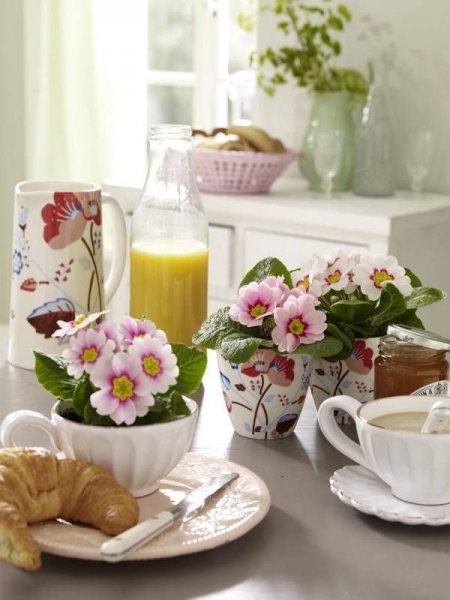 tumblr_nkffvp9V3P1tqh7ovo1_1280