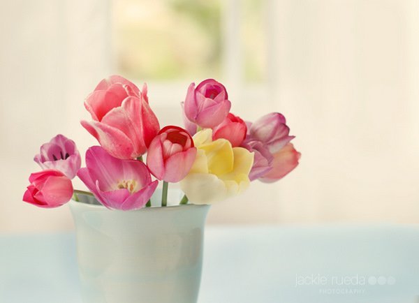 tumblr_lol0e1O8p61qelw4ro1_1280