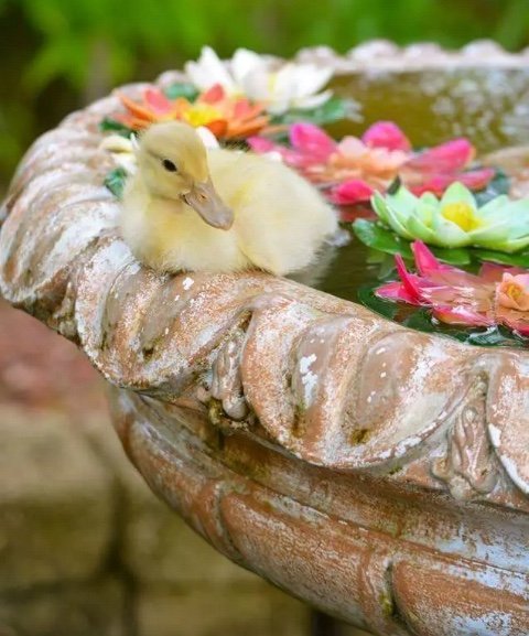 tumblr_nlq0jhedBm1regz5oo1_500