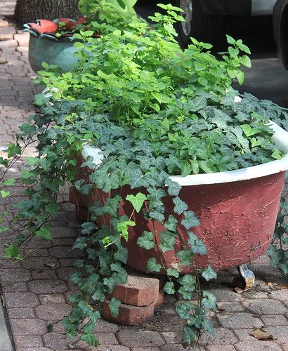 03d26b33c1b6b5f6287036a1af20a1eb