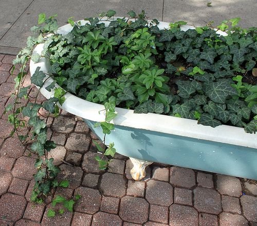 43c1d817bb75574526ed85a7da7c6385