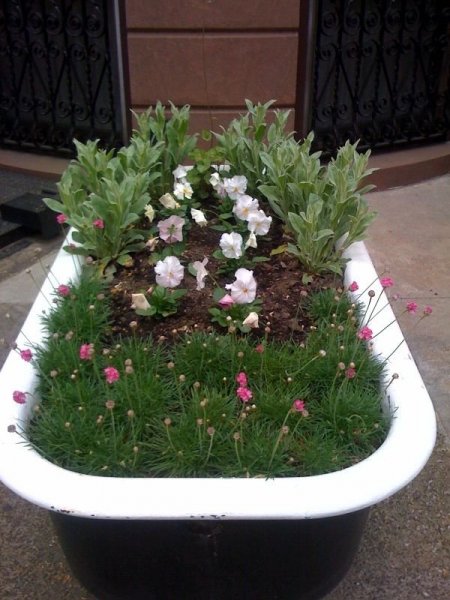 43d03891b6d1ad1e50fa1c080e2160a6