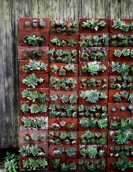 7cfcd668f70fad5f12feed75f25143e1