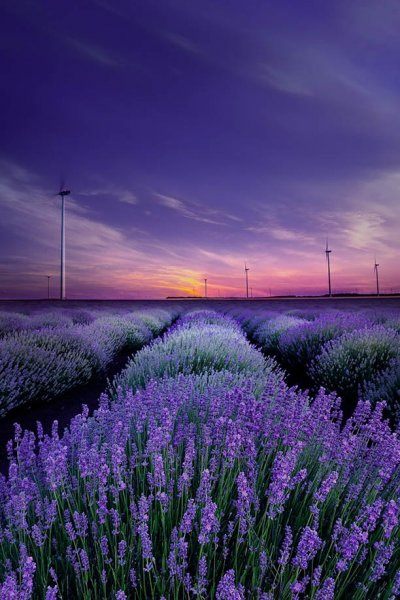 tumblr_nqg5fkJvDC1rnheglo1_r1_1280