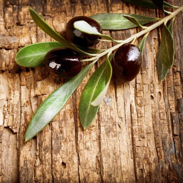 tumblr_nqgmewH16P1svnlxao1_1280